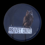 Privet Drive magnets