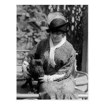 Prize Bulldog, 1910s Post Cards