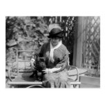 Prize Bulldog, 1910s Post Cards