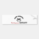 PRO GUN: ORIGINAL HOMELAND SECURITY 2nd AMENDMENT Bumper Sticker