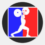 Pro Logo Sticker