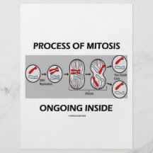 Process Of Mitosis Ongoing Inside Personalised Flyer