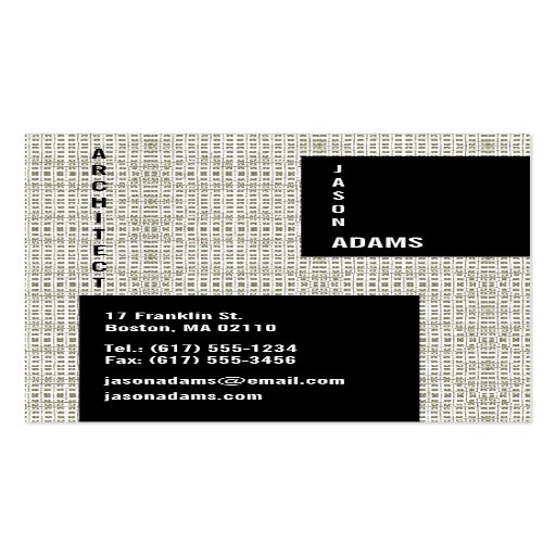 Professional Business Card