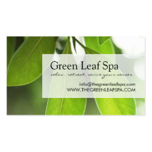 Professional Massage / Spa Business Card