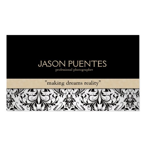 Professional Photographer Damask Business cards