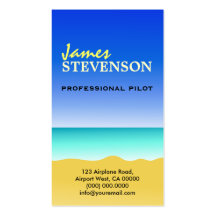 Professional Pilot Scenic Flights Business Cards