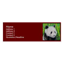 Profile Card Template - Panda Business Card
