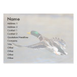 profile or business card, duck