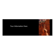 profile or business card, Landscape