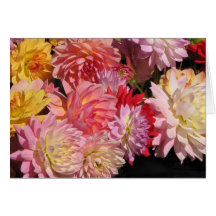 Profusion of dahlias card