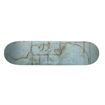 Proportions of the head skate board decks