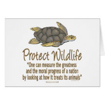 Protect Sea Turtles Card
