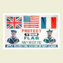 Protect Your Flag - Navy Needs You (US02143) posters