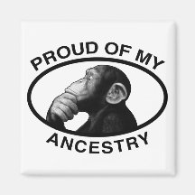 Proud Of My Ancestry Chimp Fridge Magnet