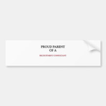 Proud Parent Of A RECRUITMENT CONSULTANT Bumper Stickers