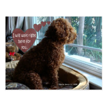 Proud Poodle - Missing You - Postcard