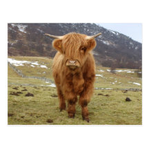 Proud to be Scottish! Postcards