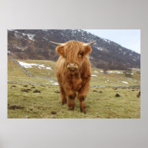 Proud To Be Scottish! Posters