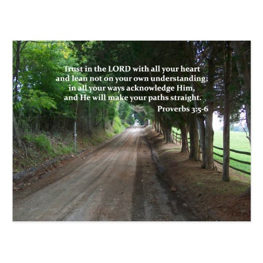 Proverbs 3:5-6 Christian Bible Verse Poster Post Card