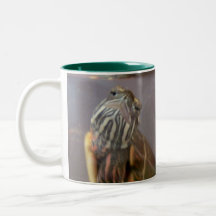 Psycho the Red Eared Slider Turtle Mugs