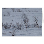 Ptarmigan Family Card