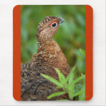 ptarmigan mousemat