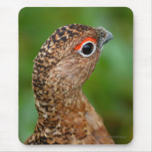 ptarmigan mousemats