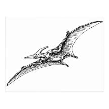 Pterodactyl Post Card
