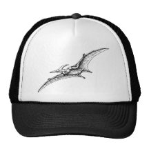 Pterodactyl Trucker Hats
