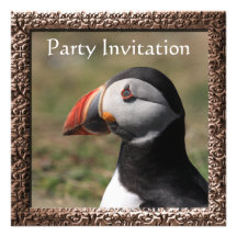 Puffin Invitation