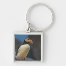 Puffin Keychain
