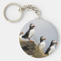 Puffins Keychains