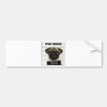 pug_5 bumper sticker
