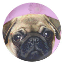 Pug decorative plate