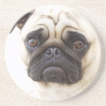 Pug Dog Coasters