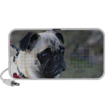 Pug dog doodle speaker