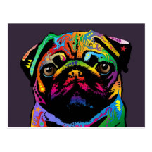 Pug Dog Post Card