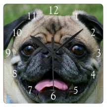 Pug dog square clock