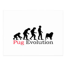 Pug Evolution Postcards