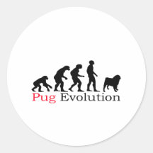Pug Evolution Stickers