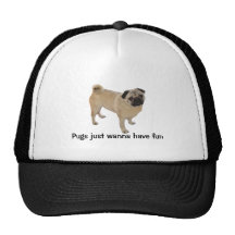 Pug Hat