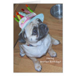 Pug In A Birthday Hat Greeting Card