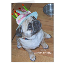 Pug In A Birthday Hat Greeting Card