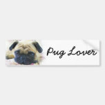 Pug Lover Bumper Sticker