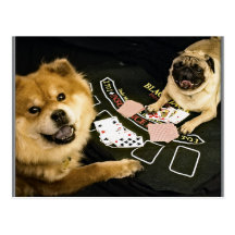 Pug Poker Post Card