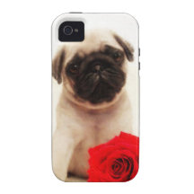 Pug puppy and rose case for the iPhone 4