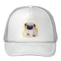 Pug puppy baseball cap trucker hat