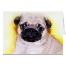 Pug Puppy greeting card
