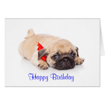 Pug Puppy Happy Birthday Card - Verse inside