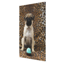 Pug puppy sitting against animal print 2 canvas print